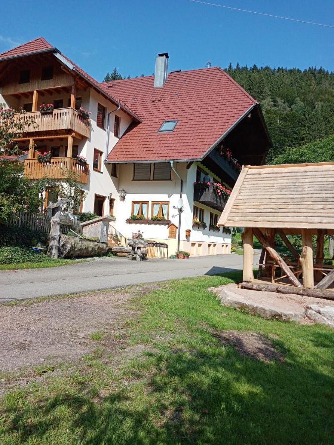 Апартаменты Urlaub Auf Dem Haenslehof Эльцах Экстерьер фото