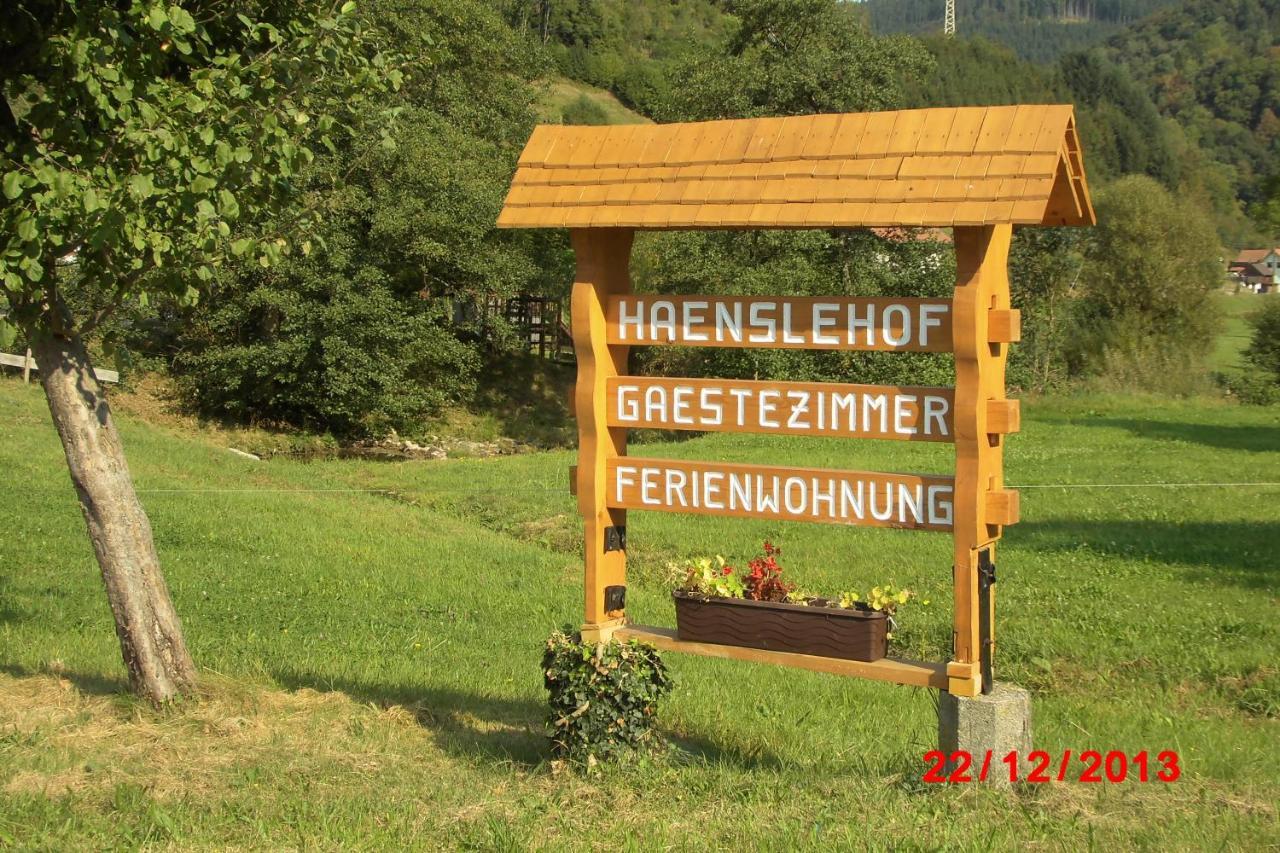 Апартаменты Urlaub Auf Dem Haenslehof Эльцах Экстерьер фото