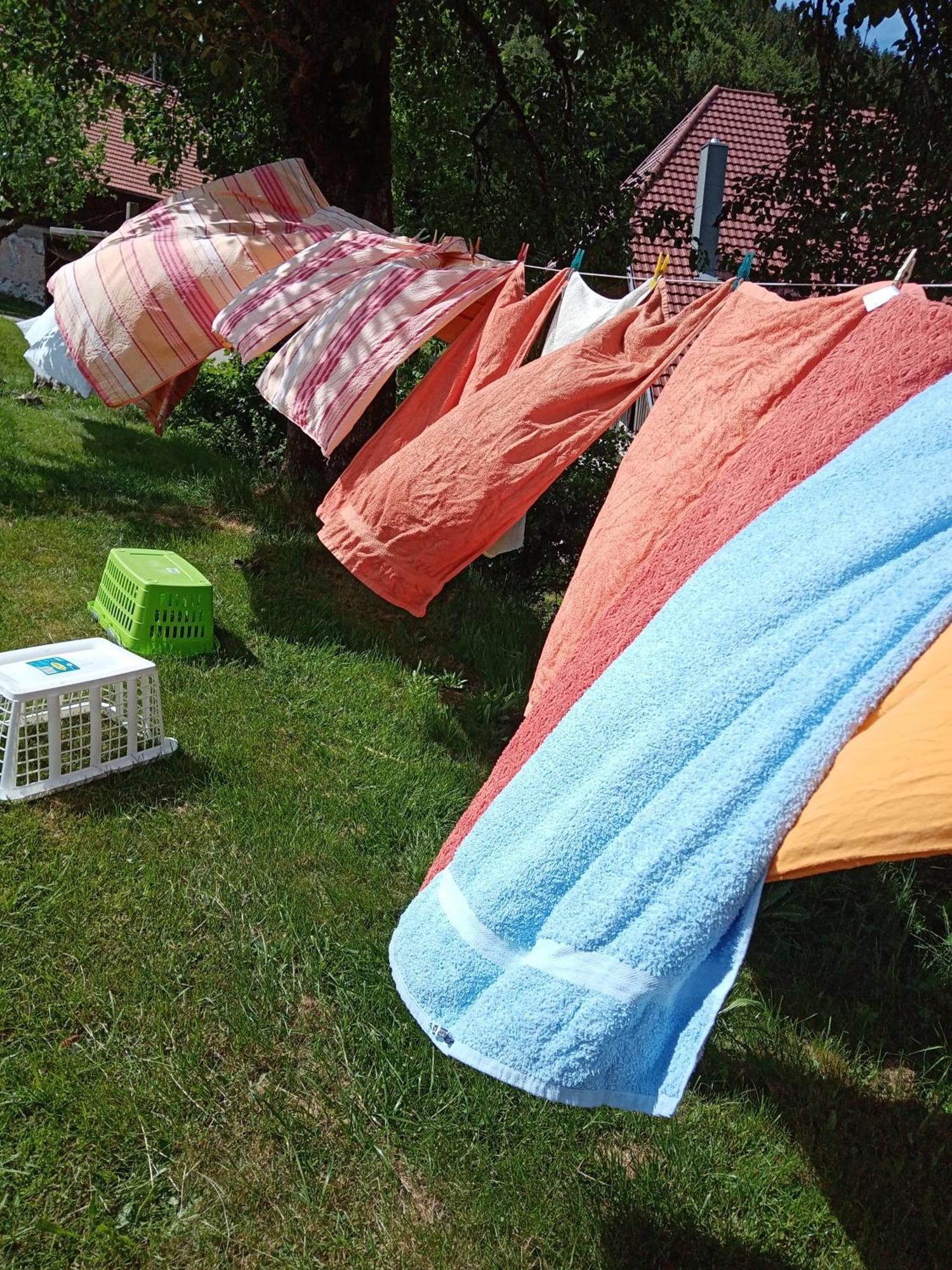 Апартаменты Urlaub Auf Dem Haenslehof Эльцах Экстерьер фото