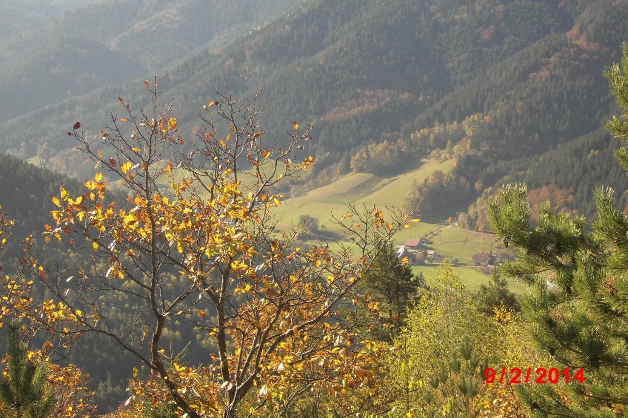 Апартаменты Urlaub Auf Dem Haenslehof Эльцах Экстерьер фото